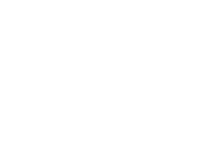 Ducks Unlimited, Inc. logo